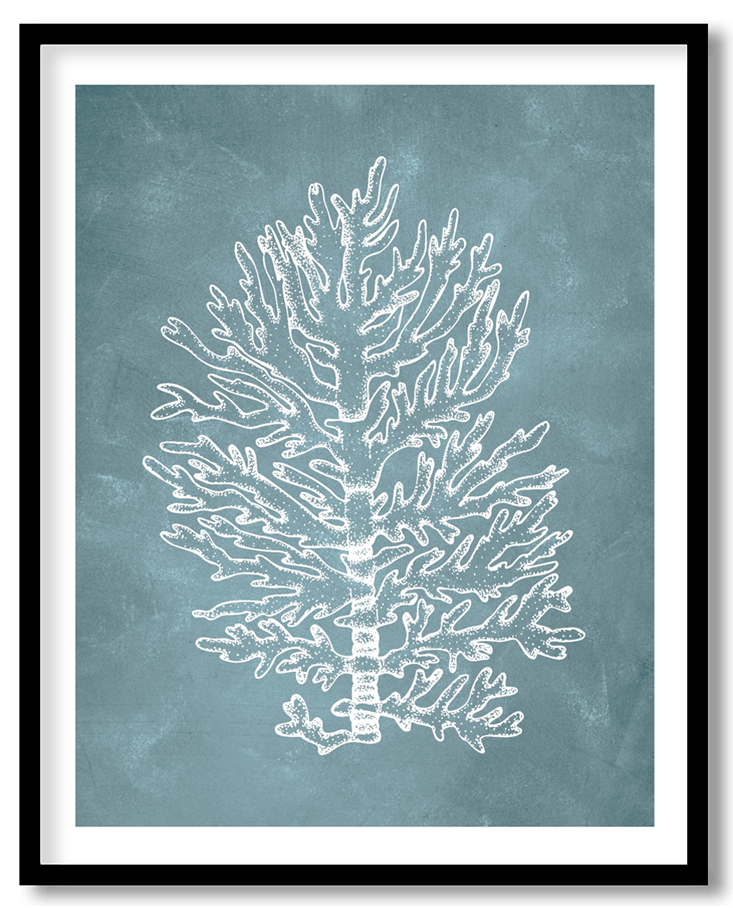 Blue hand drawn seaweed #14