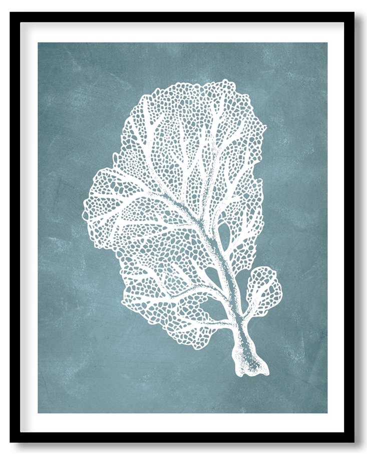 Blue hand drawn seaweed #18