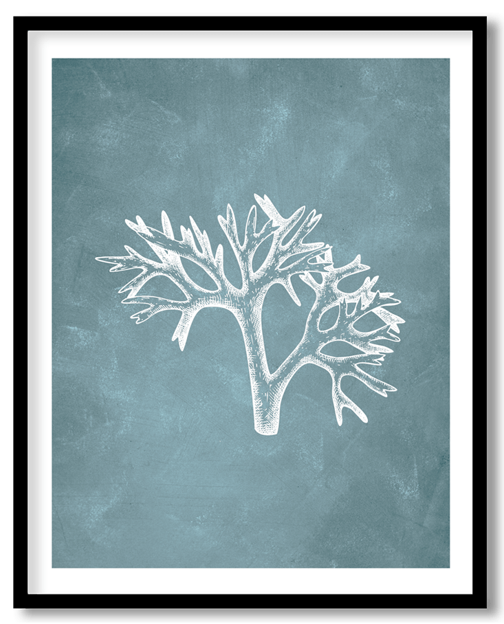 Blue hand drawn seaweed #21