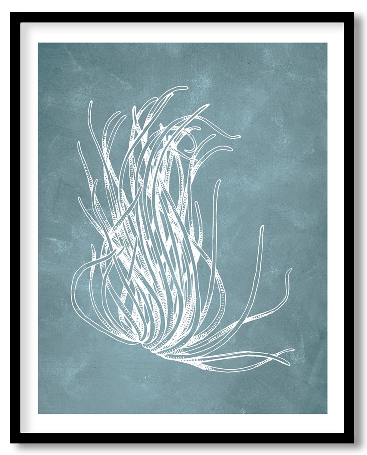 Blue hand drawn coral reef plant #12