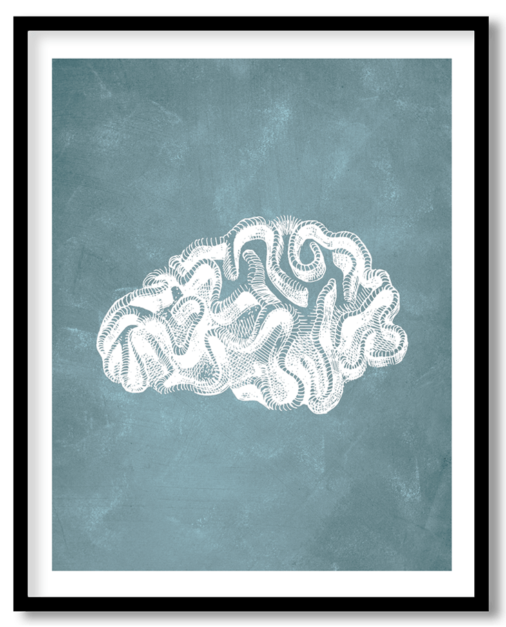 Blue hand drawn coral reef plant #13