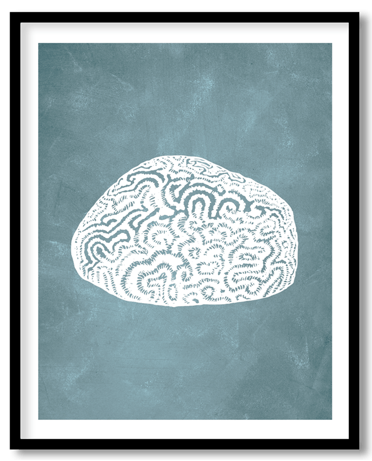 Blue gorgonian coral