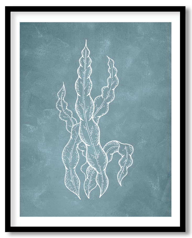 Blue underwater sea coral #10