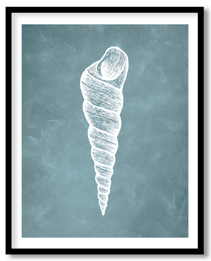Blue hand drawn seashell #10
