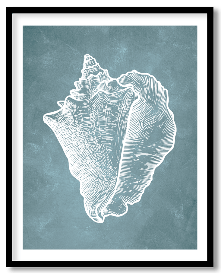 Blue hand drawn seashell #11