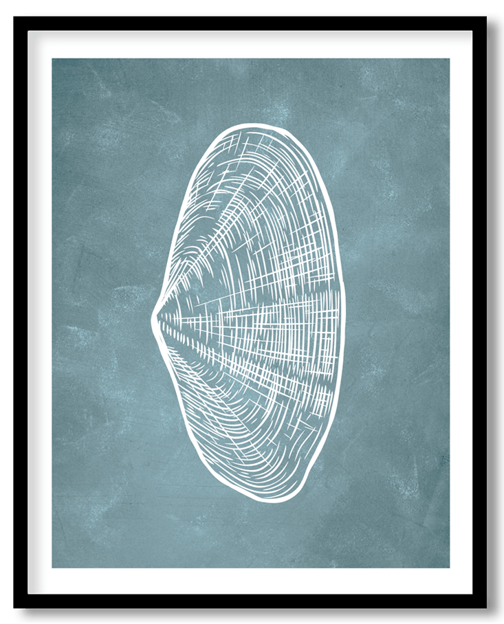 Blue hand drawn seashell #12