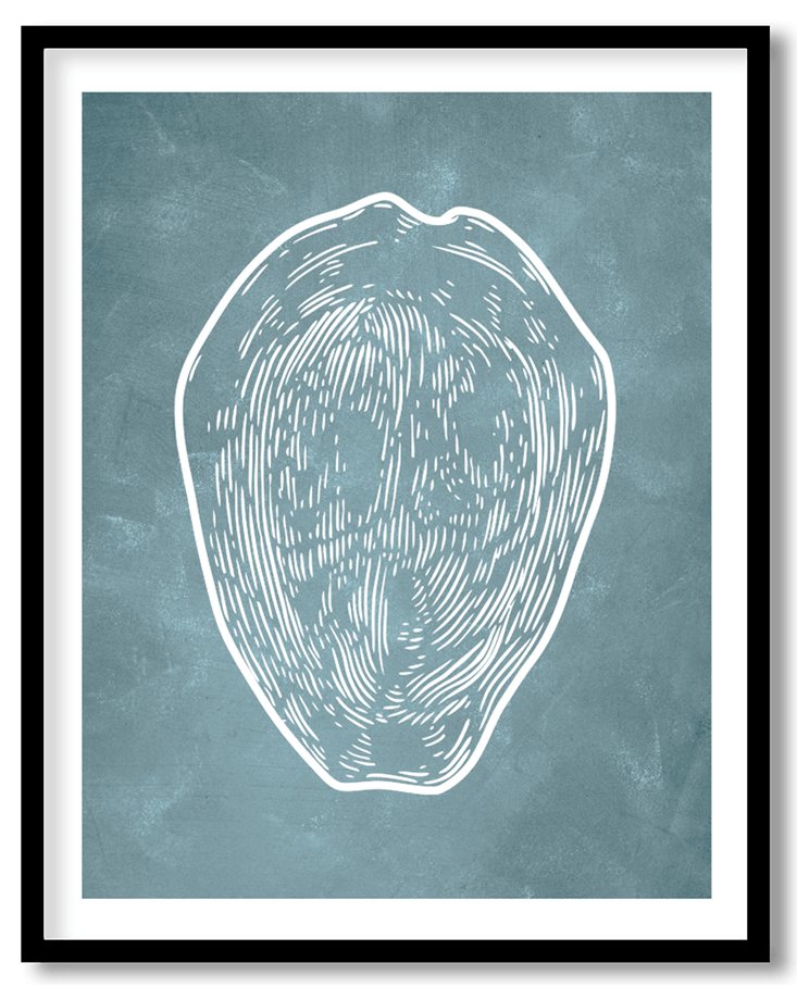 Blue hand drawn seashell #13