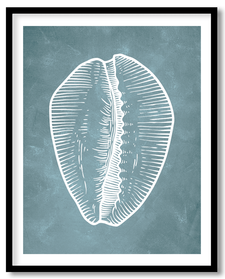 Blue hand drawn seashell #14