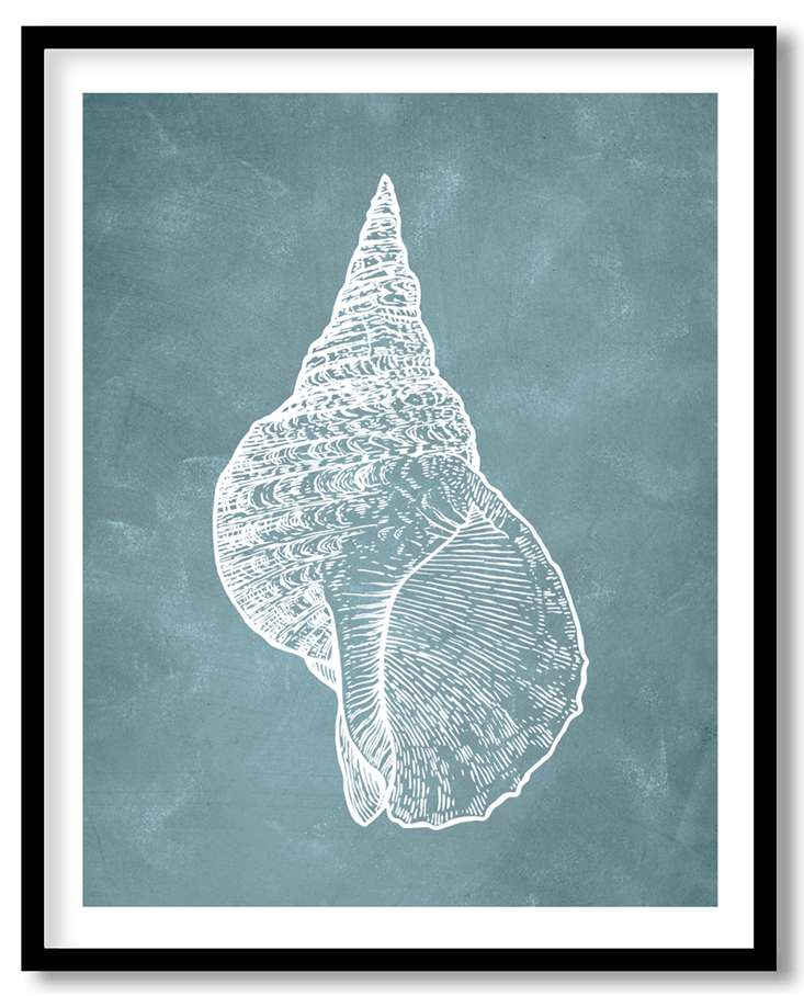 Blue hand drawn seashell #15