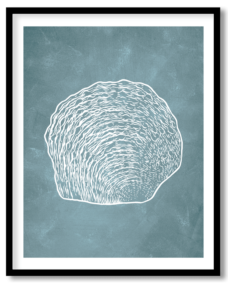 Blue hand drawn seashell #19