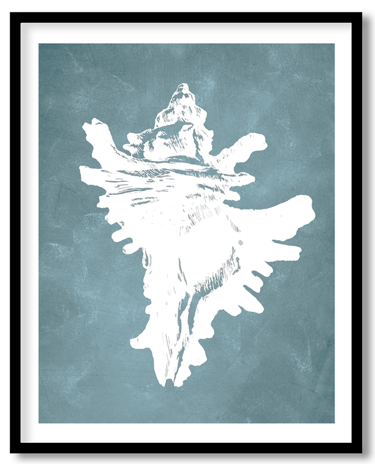 Blue hand drawn seashell #23