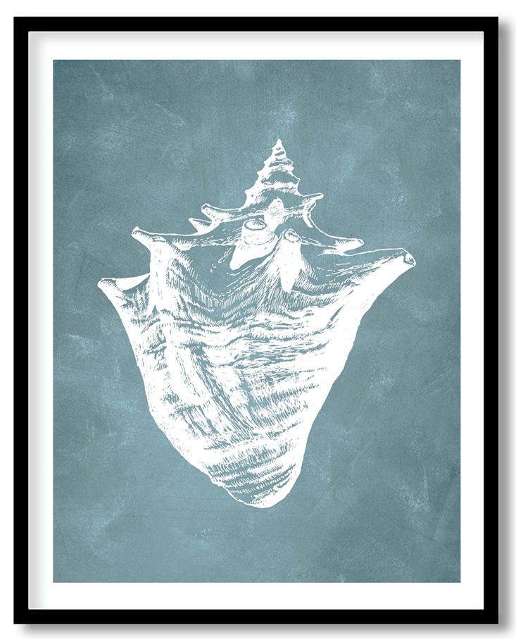 Blue hand drawn seashell #24