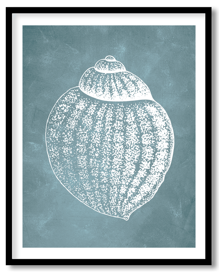 Blue hand drawn seashell #29