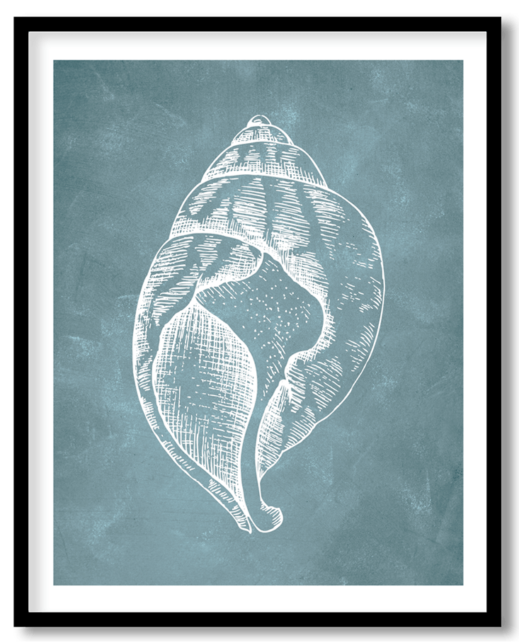 Blue hand drawn seashell #31
