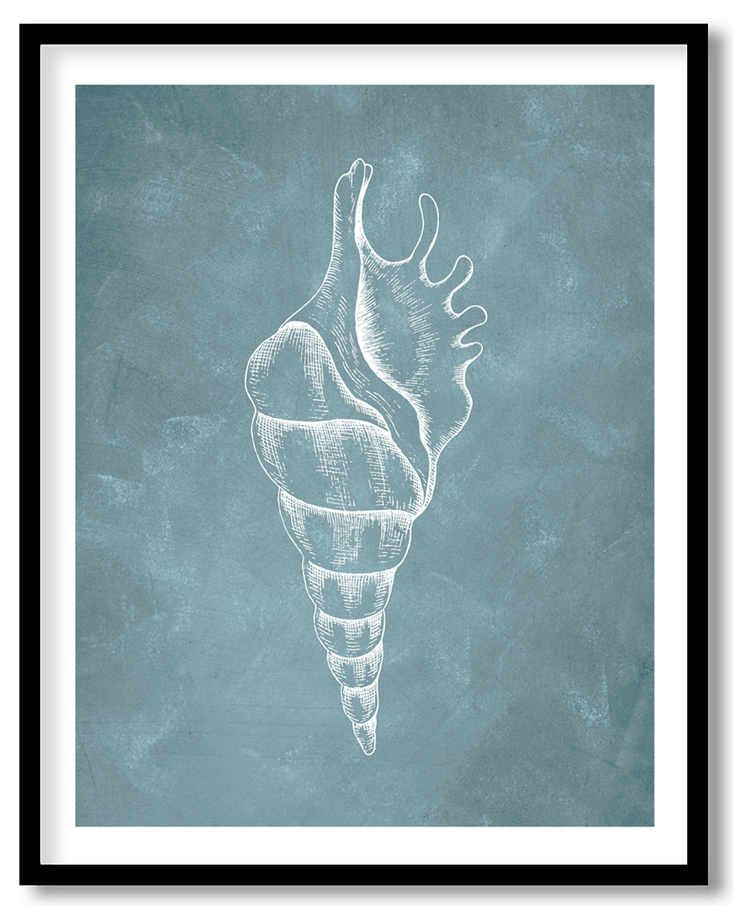 Blue hand drawn seashell #32