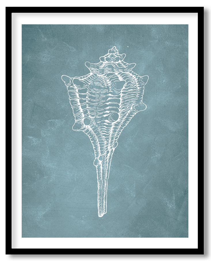 Blue hand drawn seashell #33