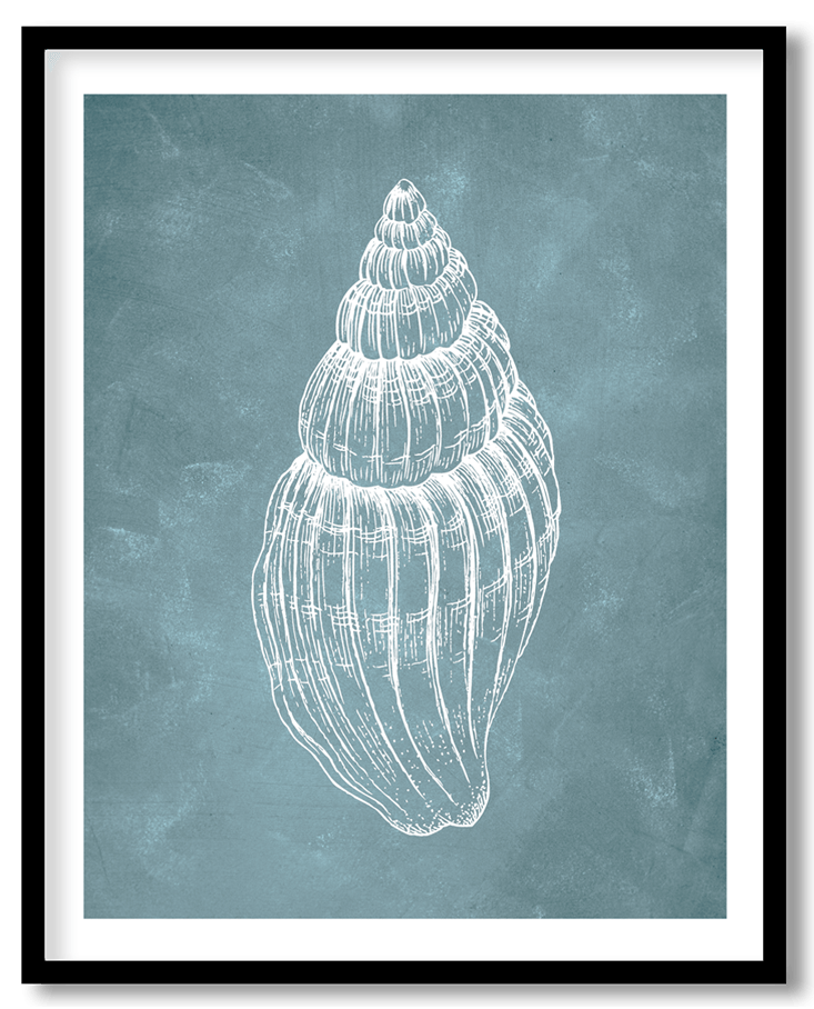 Blue hand drawn seashell #34
