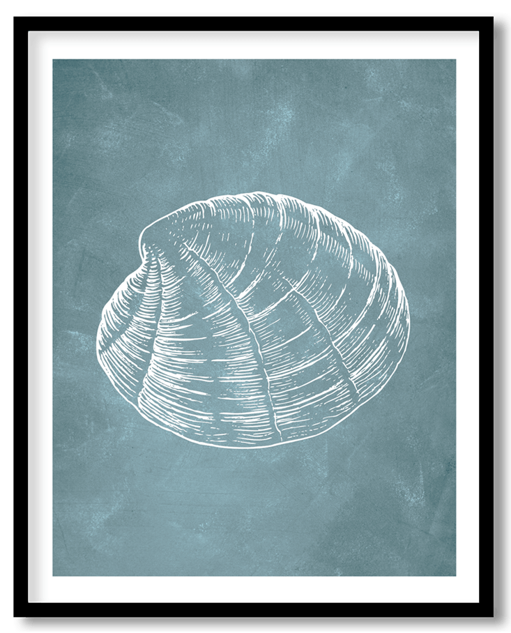 Blue hand drawn seashell #35