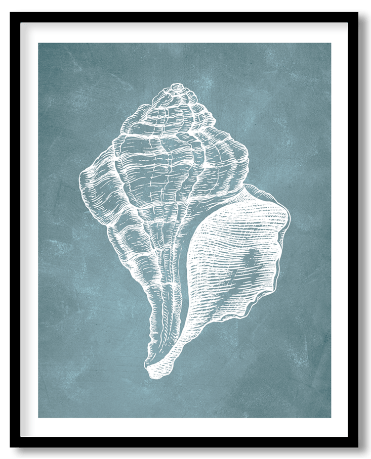 Blue hand drawn seashell #36