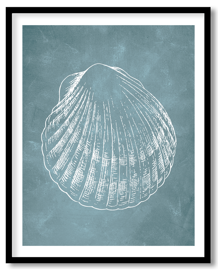 Blue hand drawn seashell #38