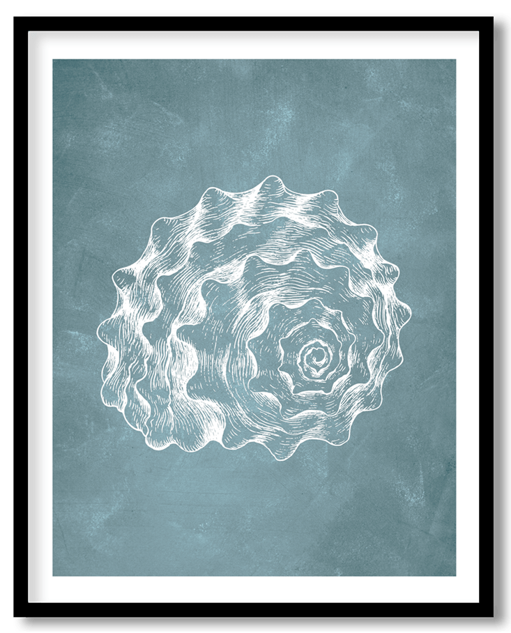 Blue hand drawn seashell #39