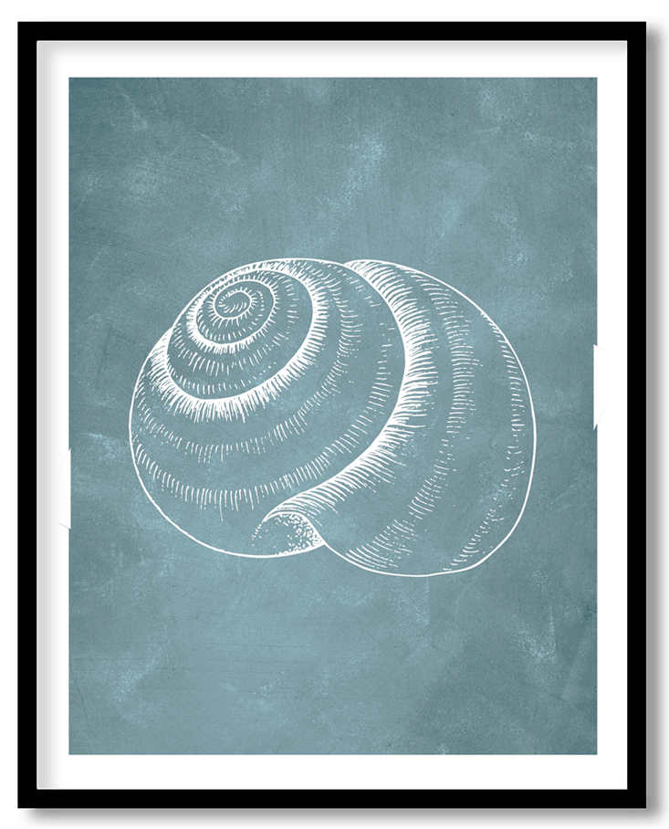 Blue hand drawn seashell #40