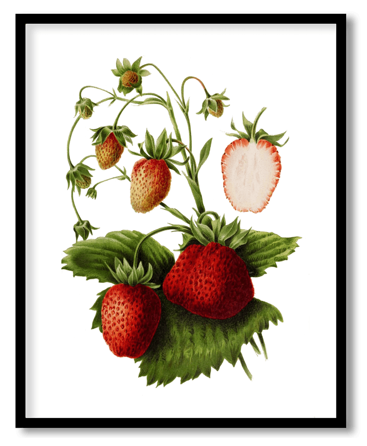 Strawberry and leaf