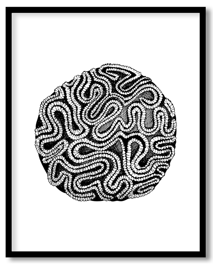 Hand drawn seaweed #13