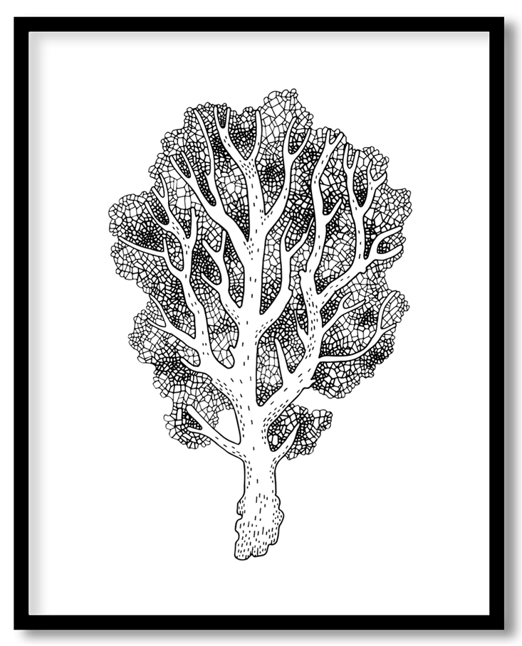 Underwater sea coral #11