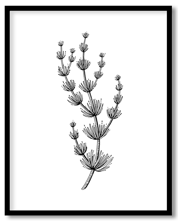 Underwater sea coral #15