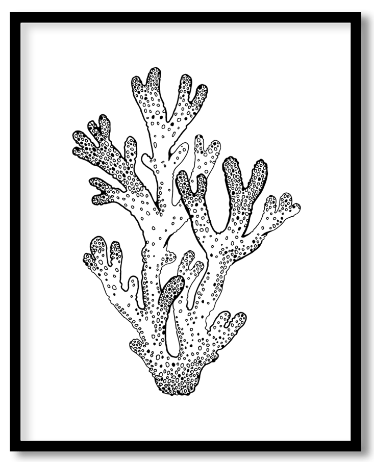 Hand drawn seashell #10