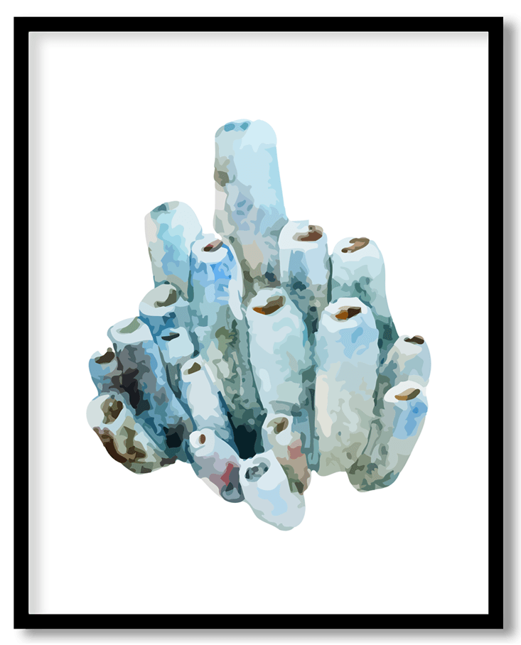 Watercolor sponge ocean coral #15