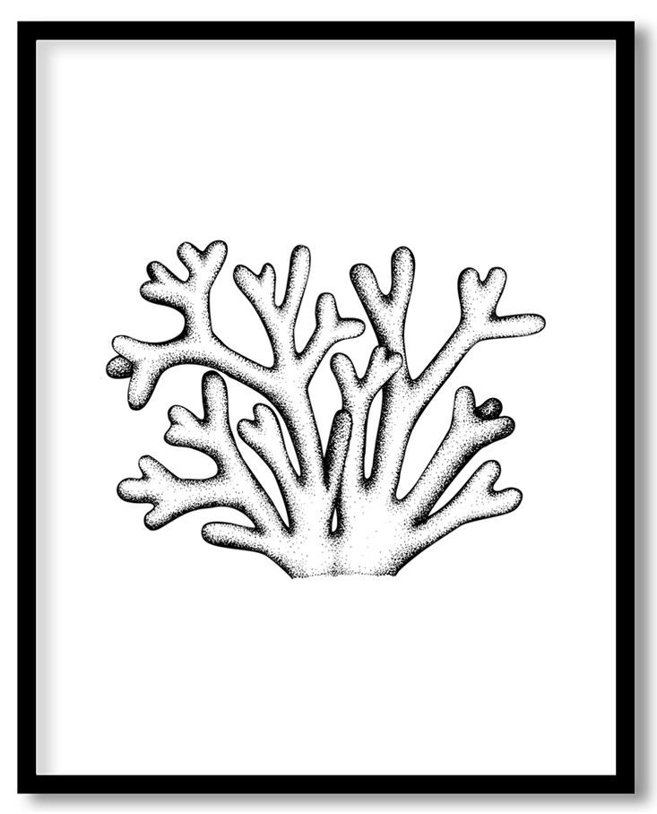 Hand drawn seaweed #16