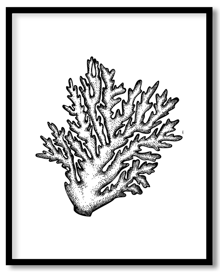 Hand drawn seaweed #17