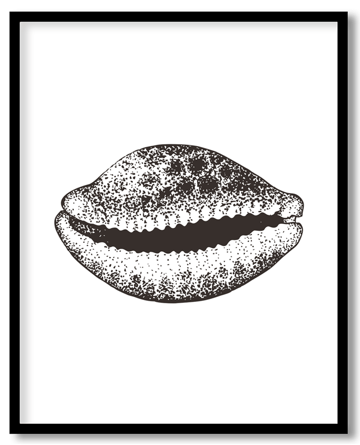 Hand Drawn seashell #25