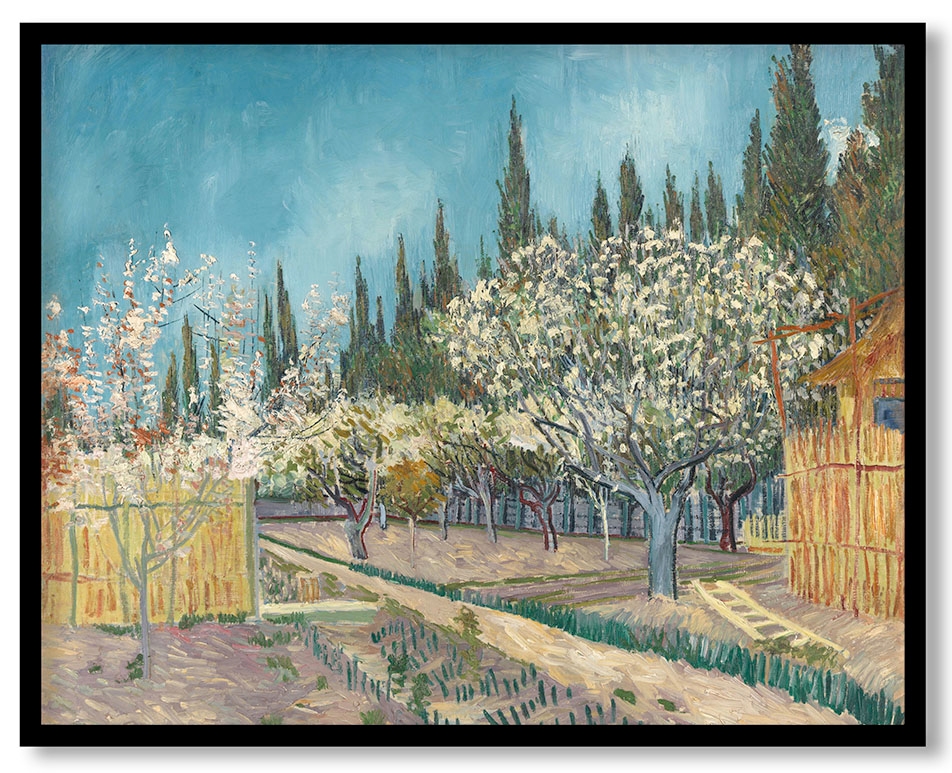 Orchard bordered by cypresses by Vincent van Gogh