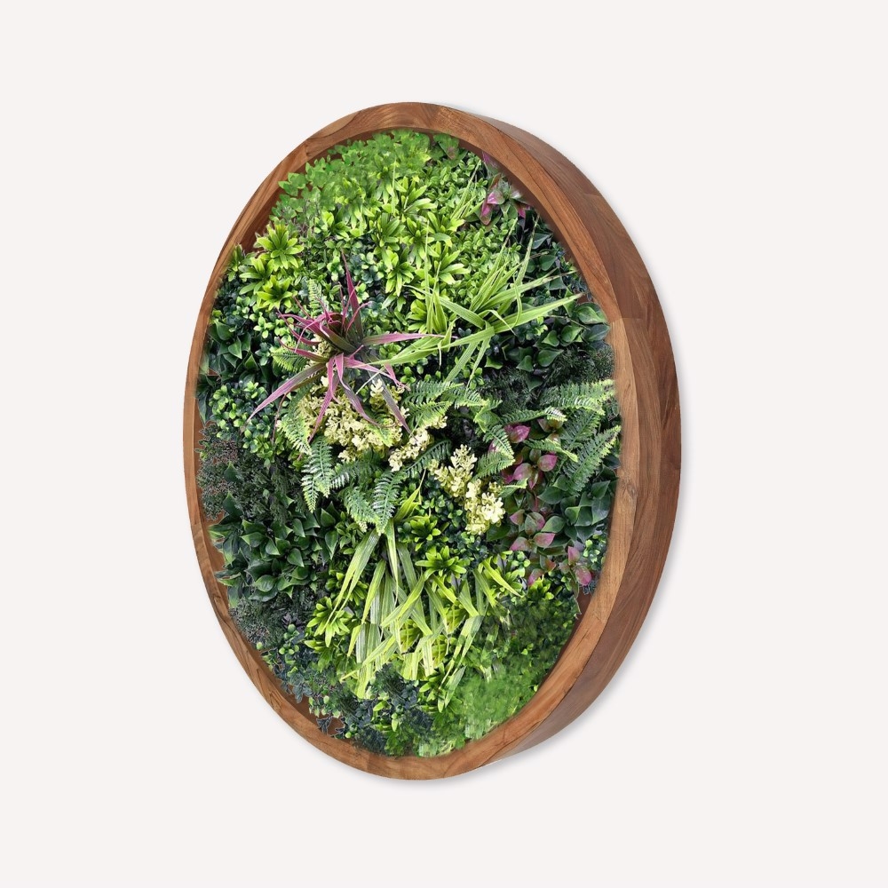 Alluring Essence Moss and Plants