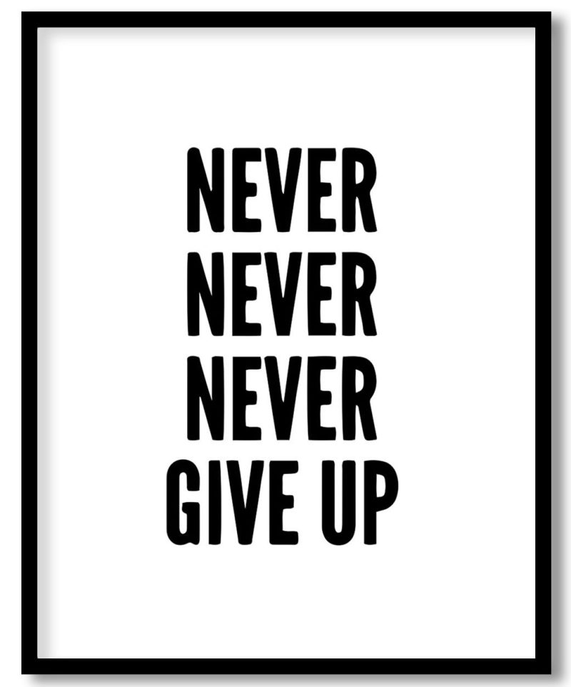 Never never never give up