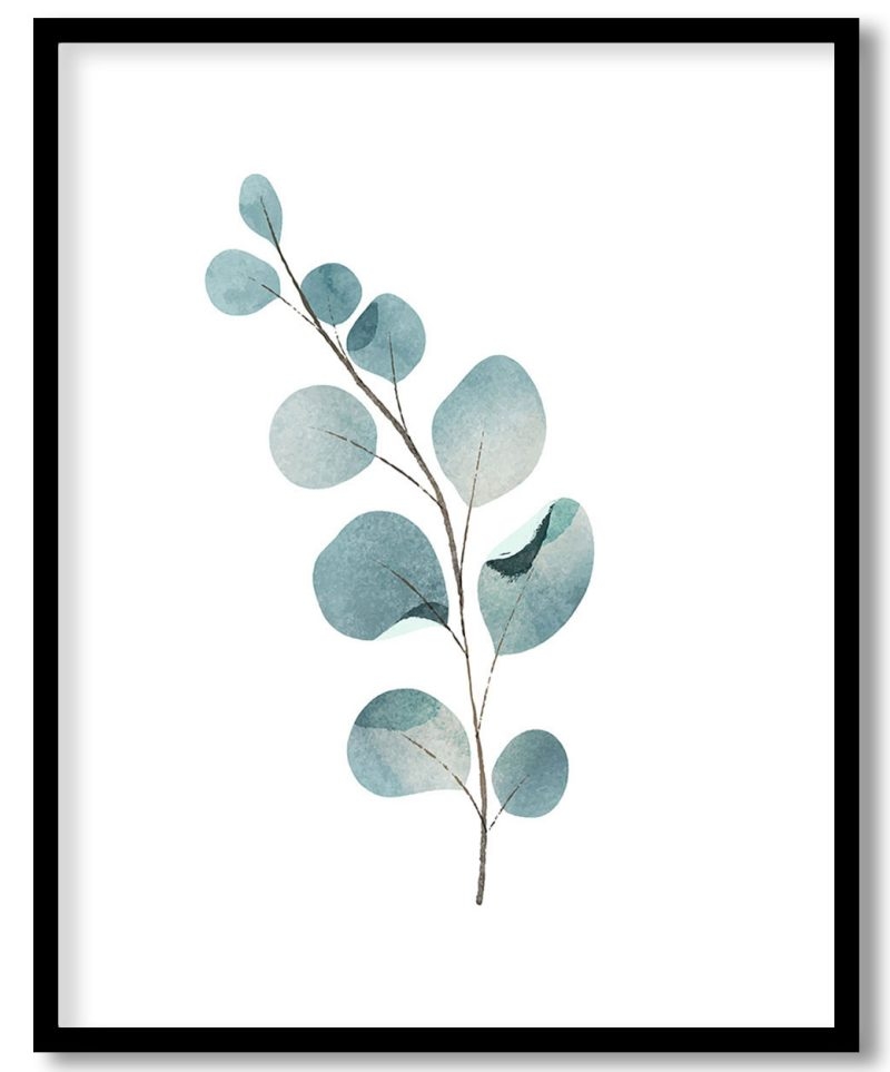 Minimalistic eucalyptus plant #071