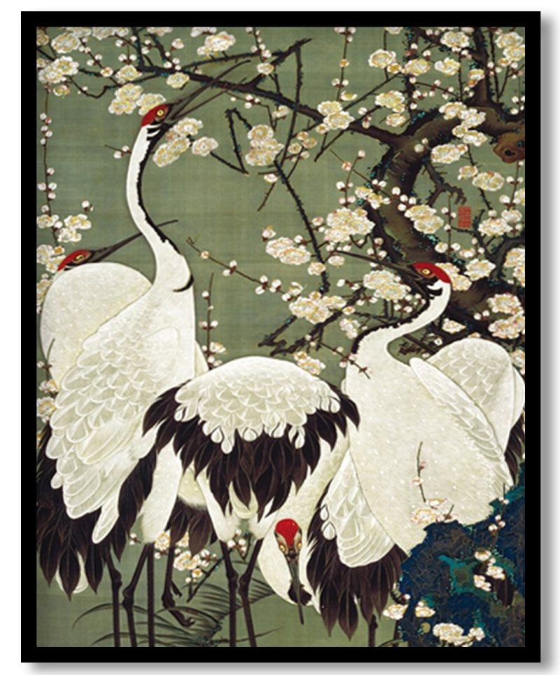 Plum Blossoms and Cranes by Ito Jakuchu (Unknown)
