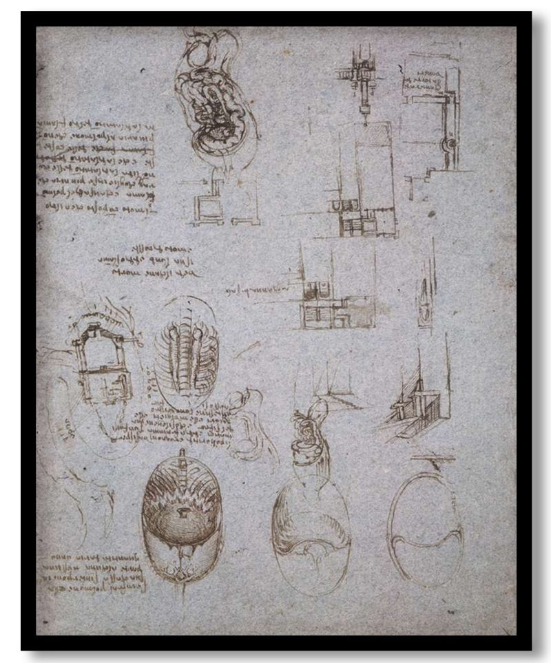 Studies Of The Villa Melzi And Anatomical Study by Leonardo da Vinci (1513)