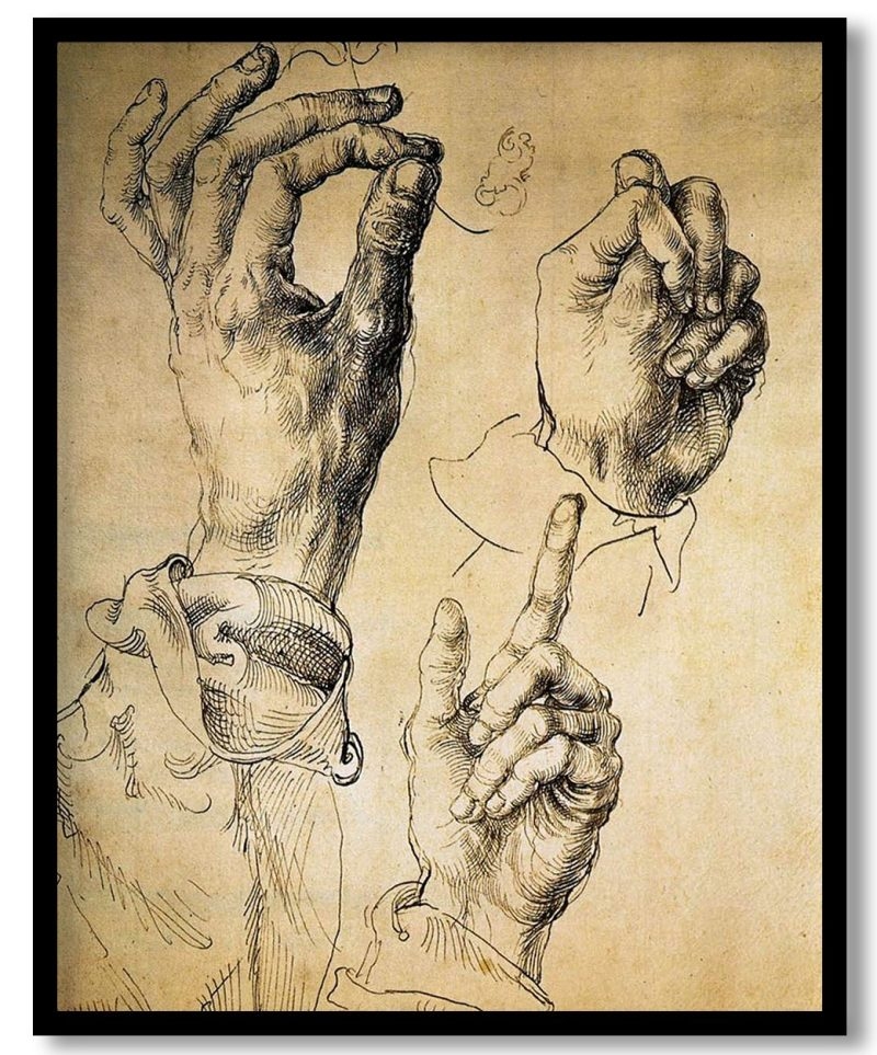 Study Of Three Hands by Albrecht Durer (1494)
