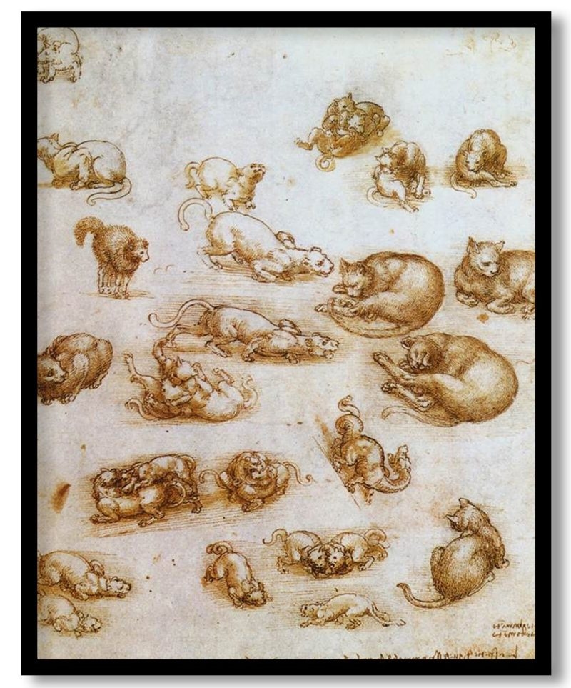 Study Sheet With Cats, Dragon And Other Animals by Leonardo da Vinci (1513)