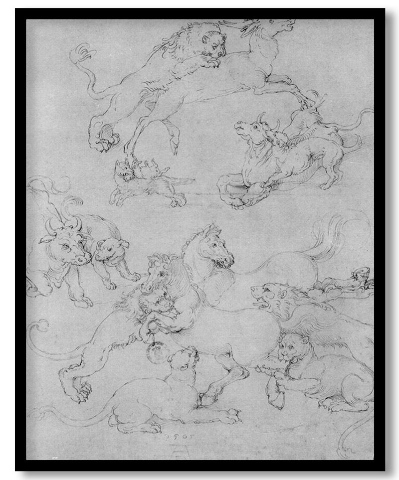 Study Sheet With The Attacked Animals by Albrecht Durer (Unknown)