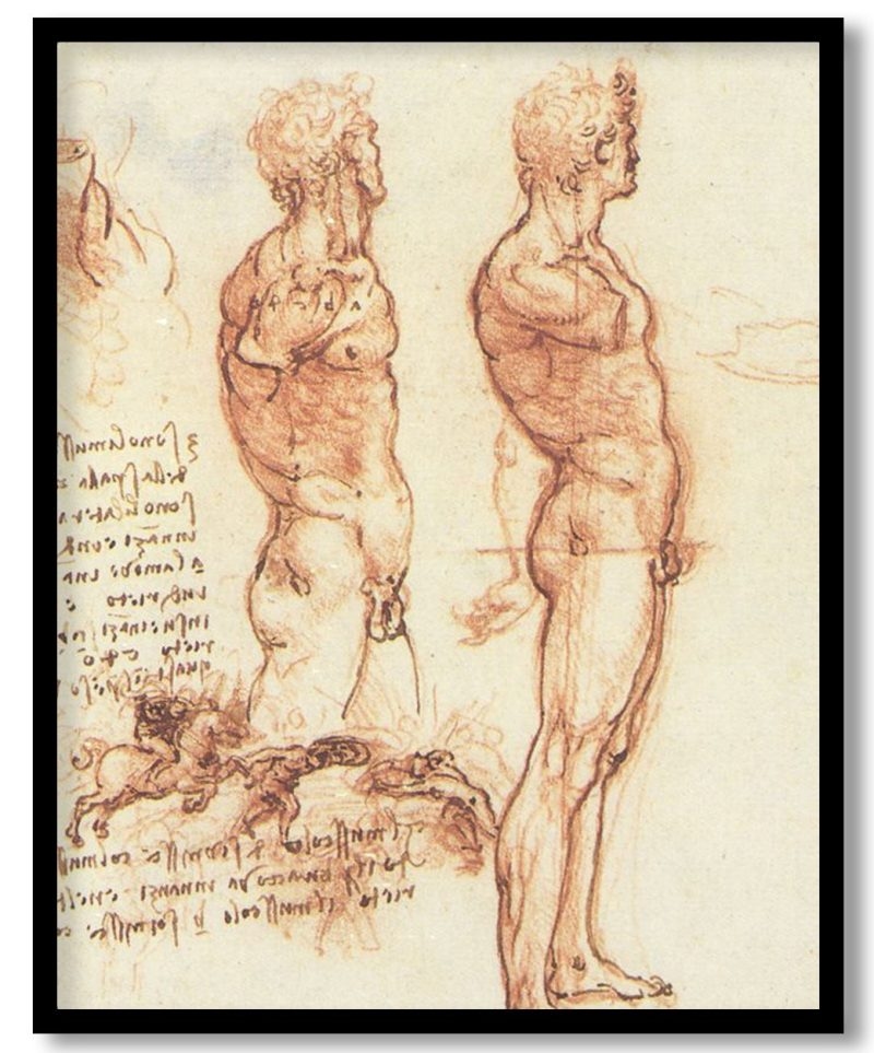 The Anatomy Of A Male Nude And A Battle Scene by Leonardo da Vinci (1505)