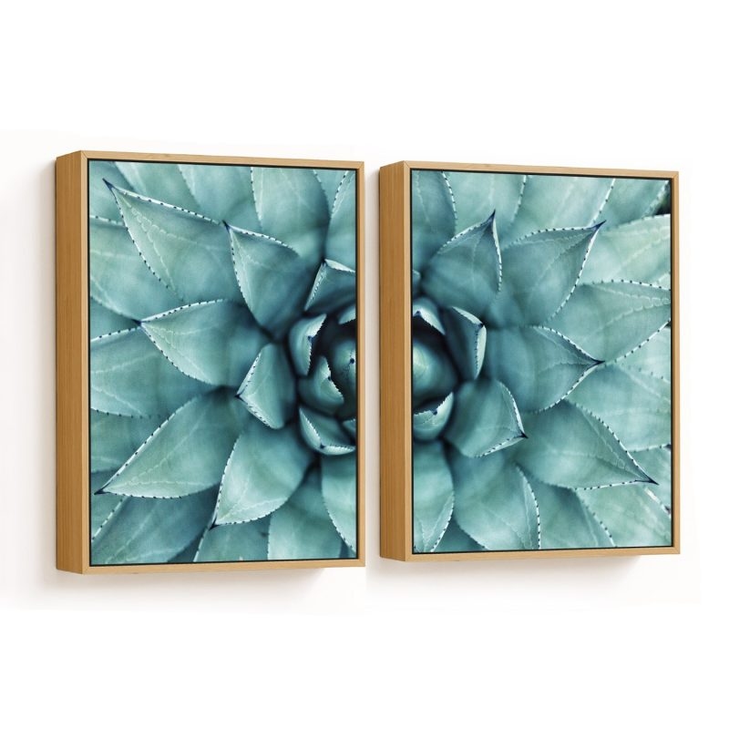 Set of 2 green succulent