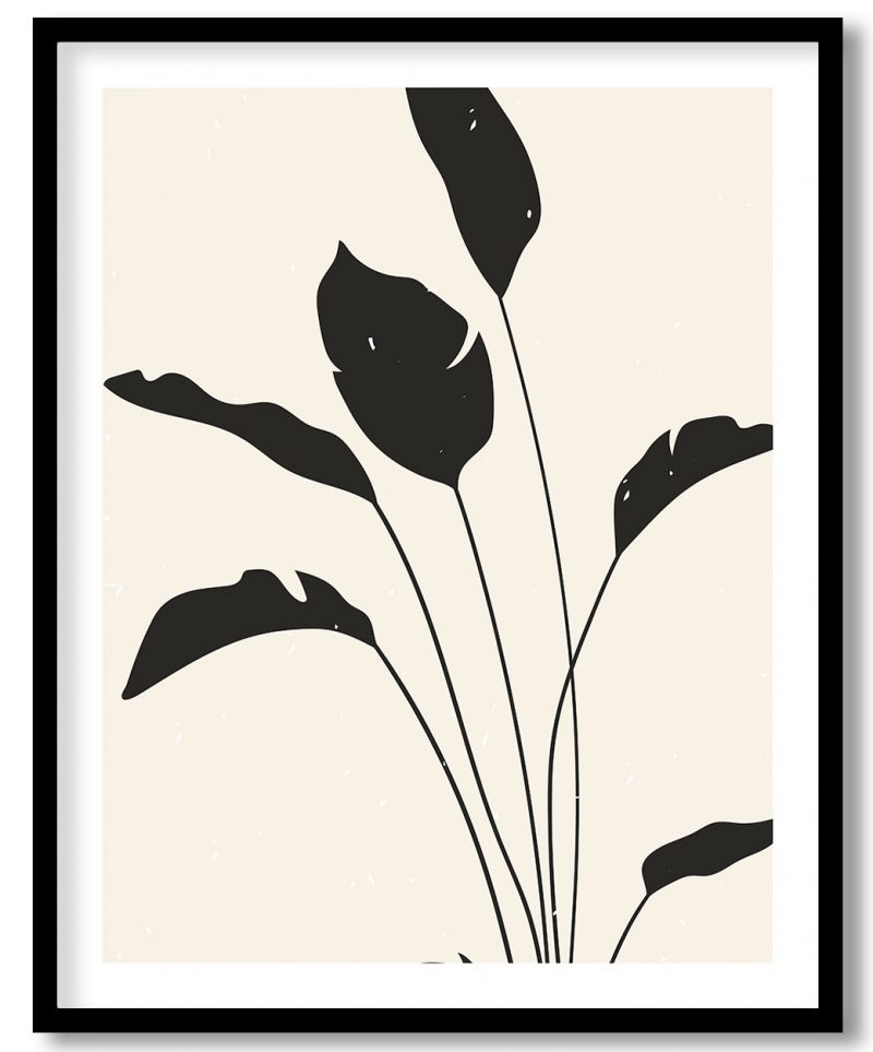 Abstract dark boho plant