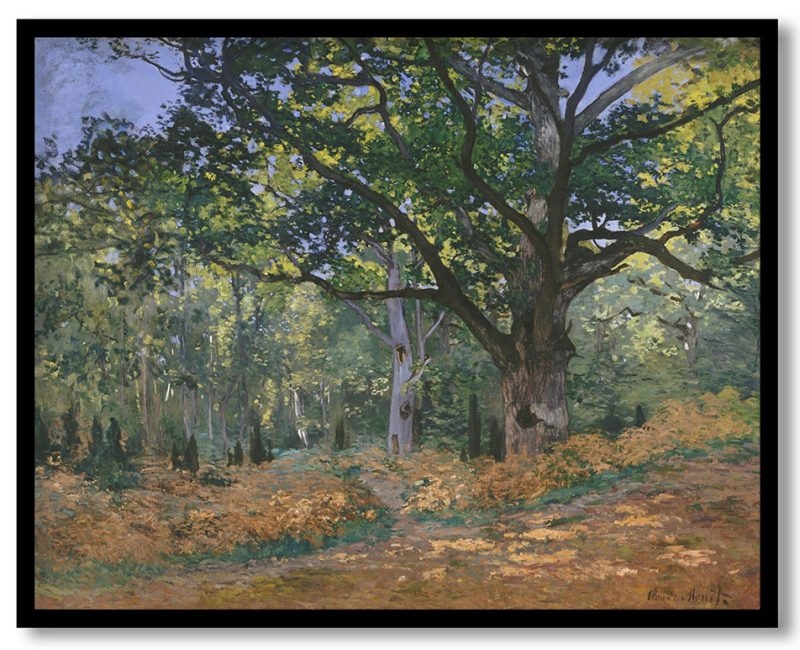 The bodmer oak by Claude Monet (1865)