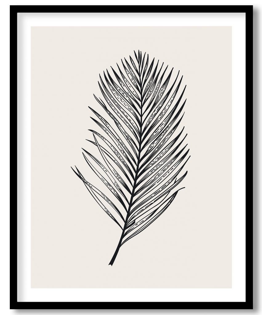 Vintage exoctic black and white areca palm leaf