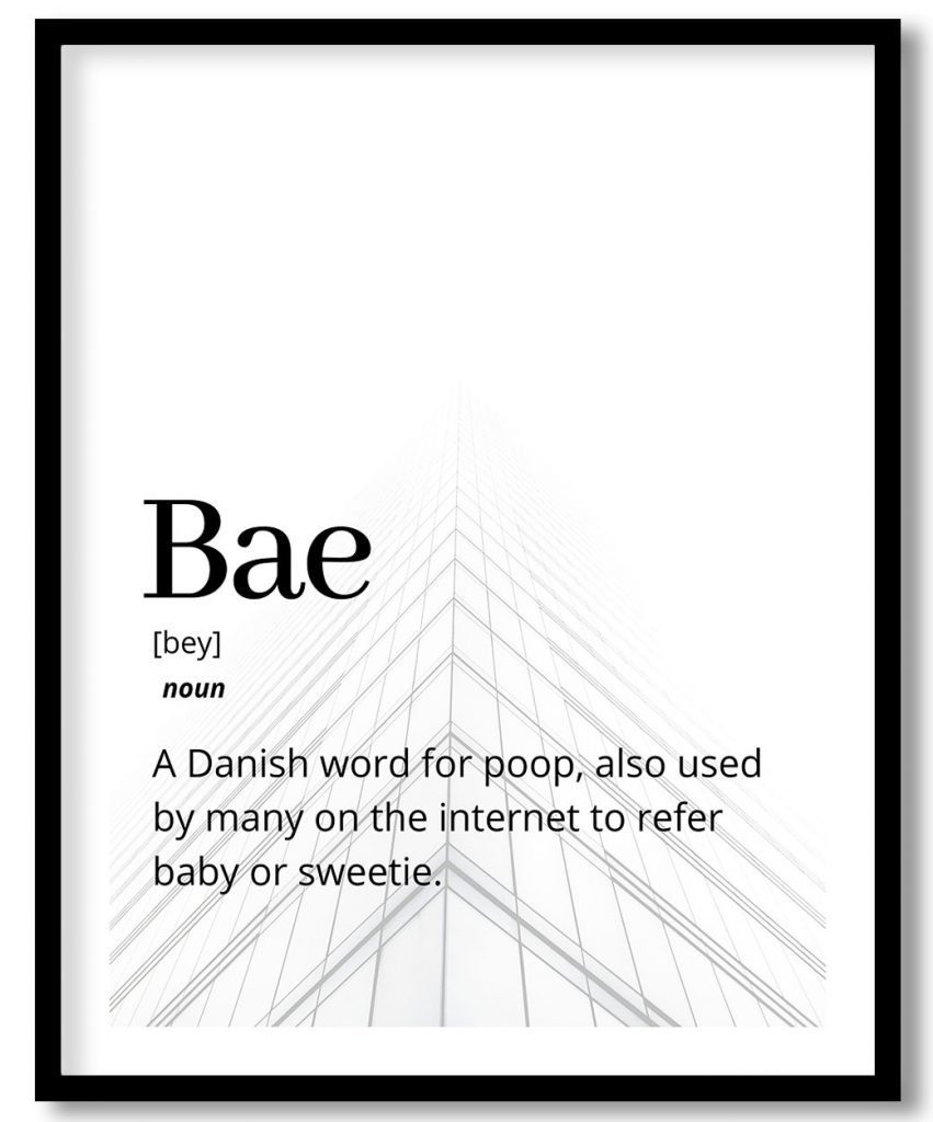 Bae - Funny Dictionary definition